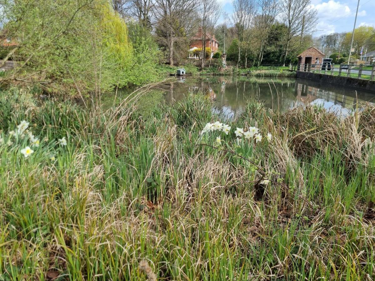 Apartment Gorgeous 1 Bed In Wetwang Driffield